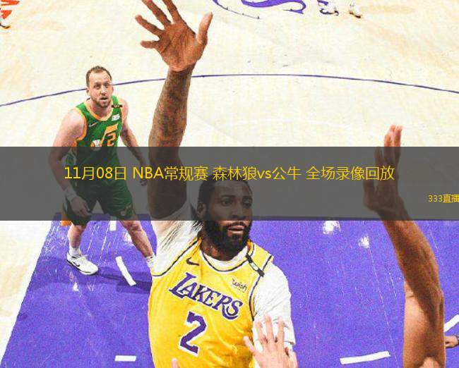  11月08日 NBA常規(guī)賽 森林狼vs公牛 全場(chǎng)錄像回放