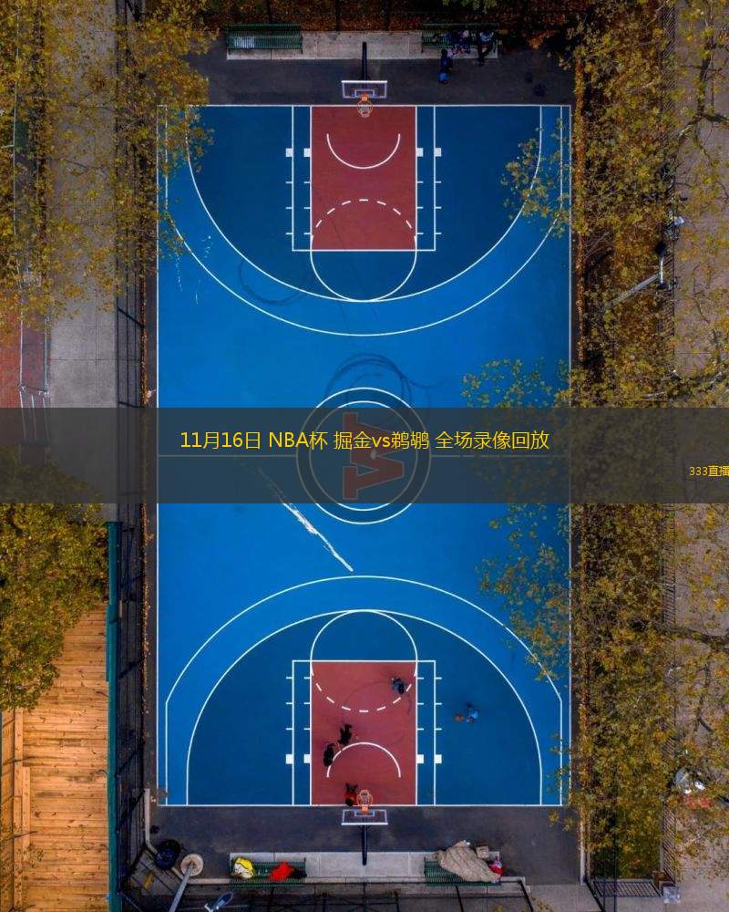 11月16日 NBA杯 掘金vs鵜鶘 全場(chǎng)錄像回放