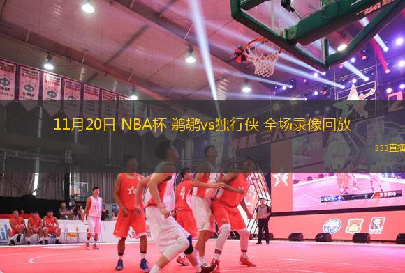 11月20日 NBA杯 鵜鶘vs獨(dú)行俠 全場(chǎng)錄像回放